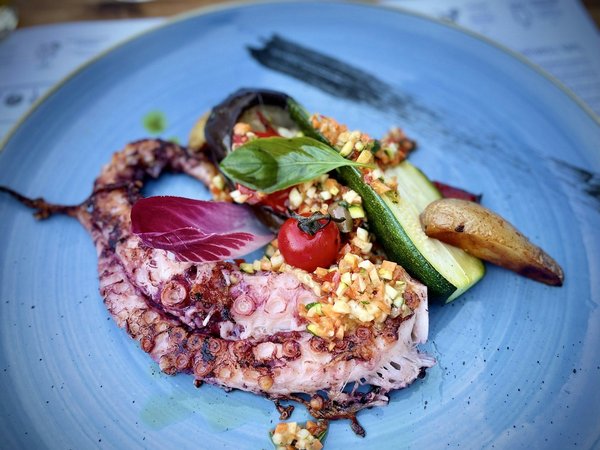 Quels sont les meilleures astuces pour cuisiner des plats à la plancha en toute saison ?